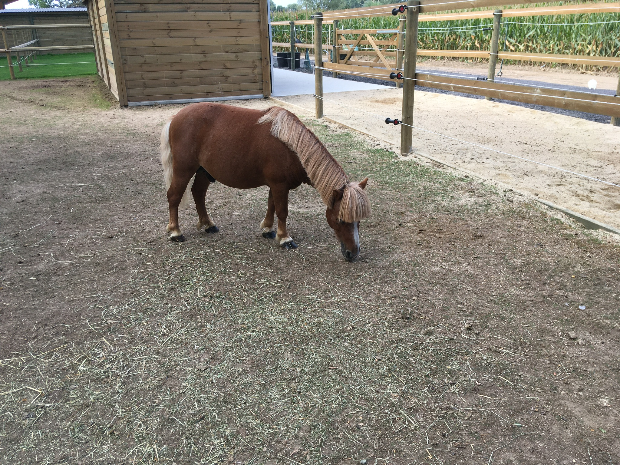 La Ferme du Ruisseau - Notre équipe