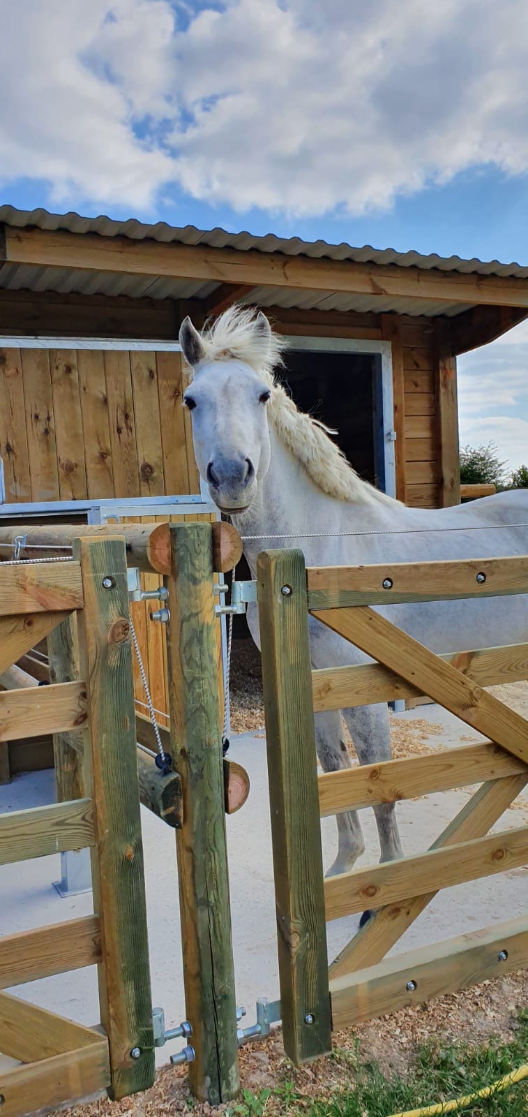 La Ferme du Ruisseau - Notre équipe