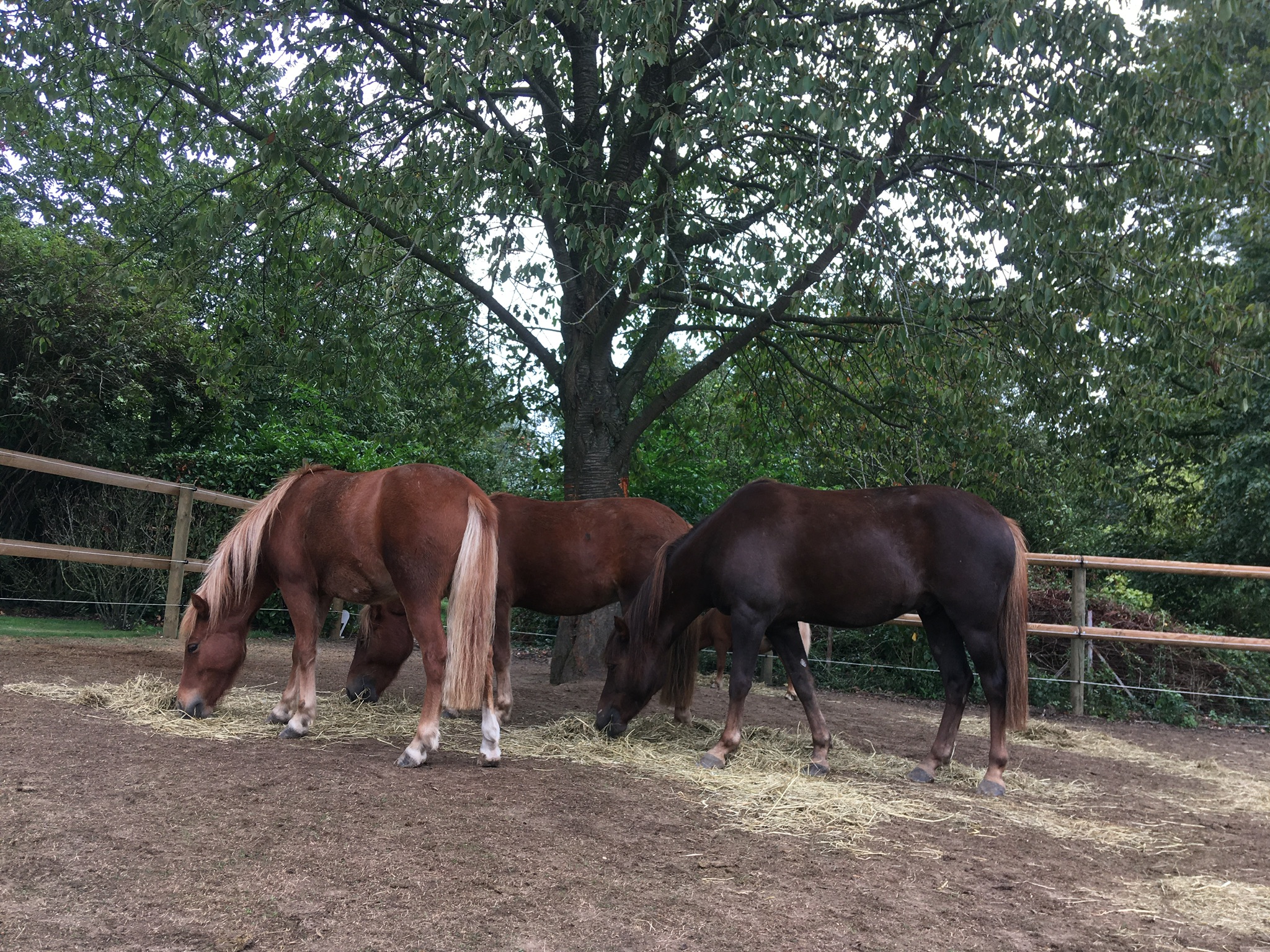 La Ferme du Ruisseau - Notre équipe