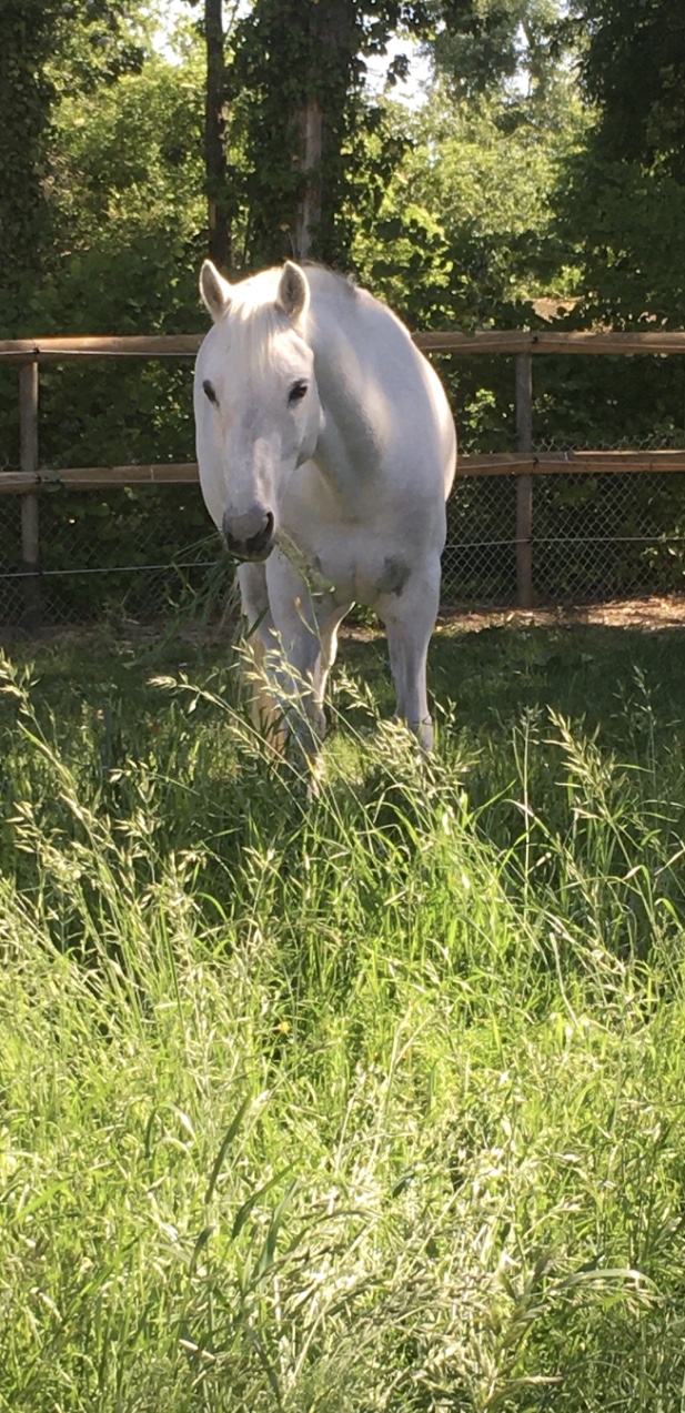 La Ferme du Ruisseau - Notre équipe