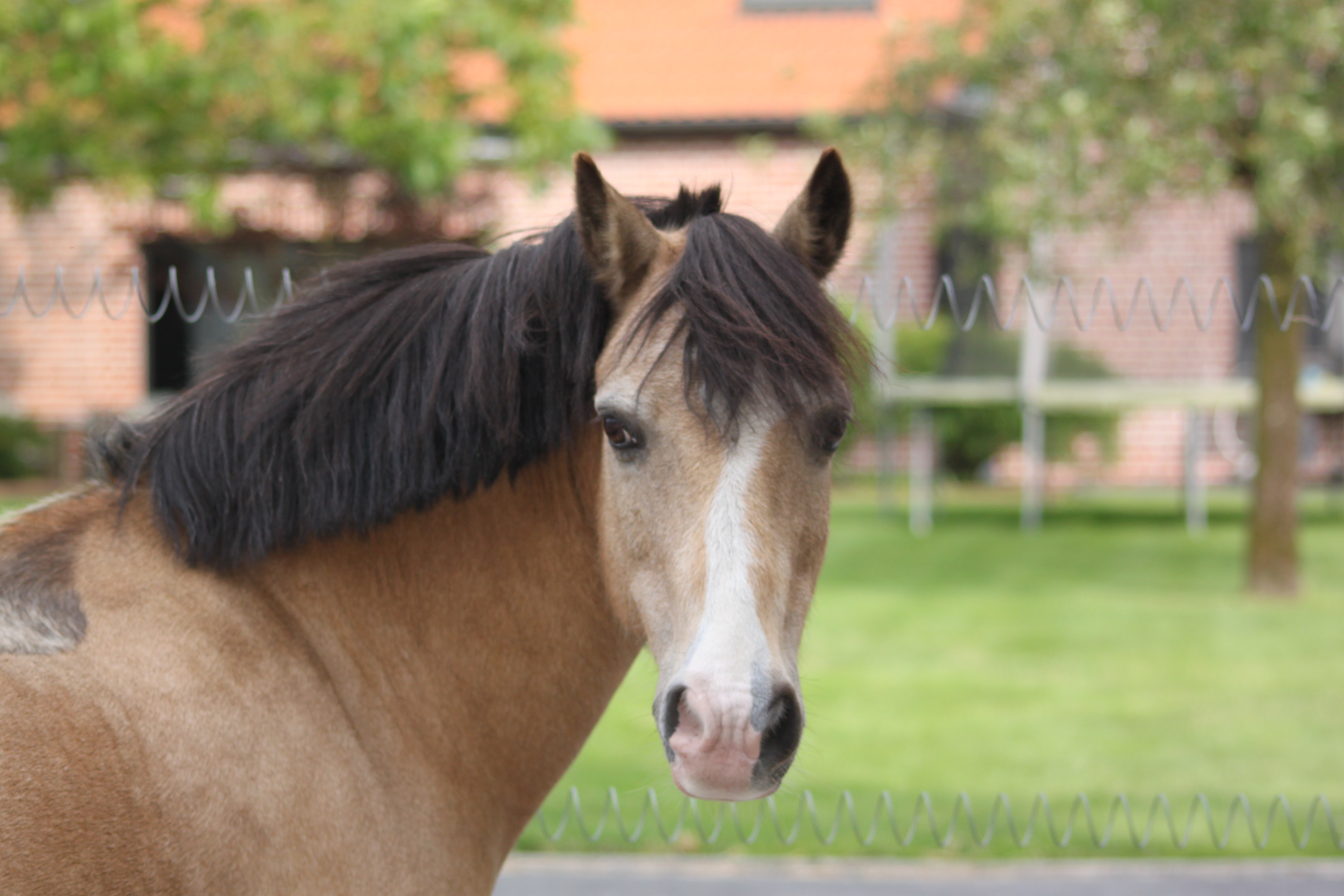 La Ferme du Ruisseau - Notre équipe
