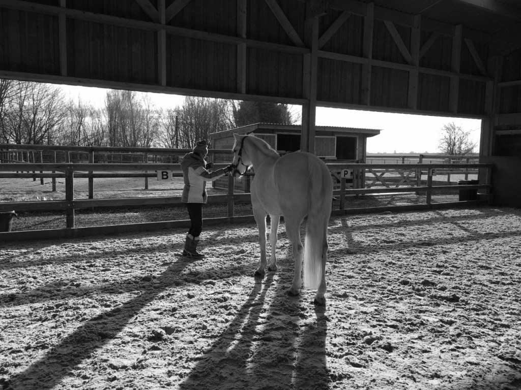 La Ferme du Ruisseau - Séance individuelle